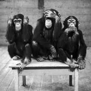 Meet your Posher, 3 wise junkies